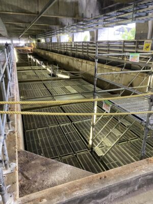 大野城市 公共施設内足場工事 1300㎡