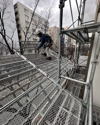 【朝顔】