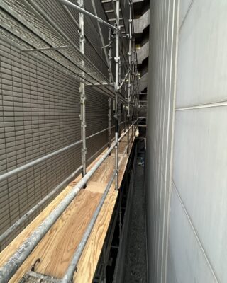 【コンパネ養生】
